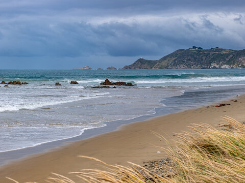 Sandstrand am Kaka Point Beach mit bewaldeter Klippe, Treibholz und Brandung unter Wolkenhimmel, Otago, Neuseeland