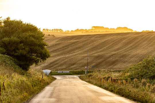 Tornby Bjerg, Denmark A pastoral green and hilly  landscape at sunrise