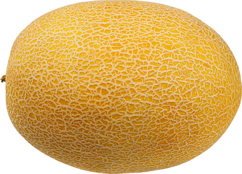 Whole Galia melon isolated on white background