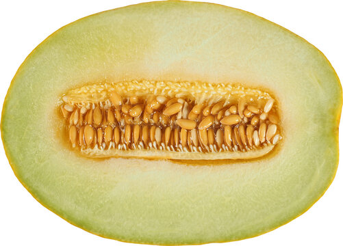 Half cut Galia melon isolated on white background