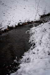 Obraz premium Spring Mountain Stream Flowing Between Snow-Covered Banks in the Ukrainian Carpathians