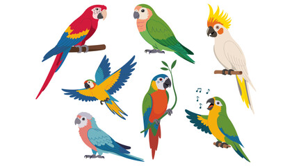 Naklejka premium Tropical Parrot Bird Vector Icon Set with Scarlet Macaw, Cockatoo, Flying Parakeet, Perched Lovebirds, and Singing Conure Illustrations for Jungle Nature Designs