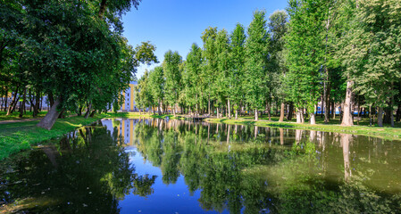 Fototapeta premium Serene forest pond with tall trees, lush greenery, and clear water reflection