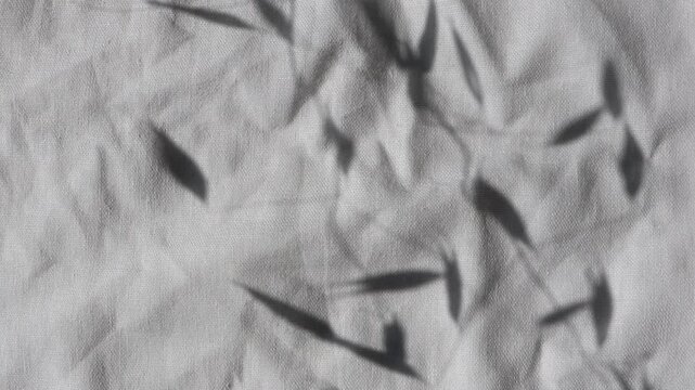 Delicate shadow of dried oat panicles gently sways across wrinkled white linen, revealing the fabric natural woven texture. Minimal botanical background with soft movement.