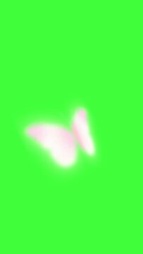 Soft pink butterfly animation with graceful wing movement, suitable for spring themes, romance, weddings, fantasy scenes, nature videos, and elegant decorative overlays.
