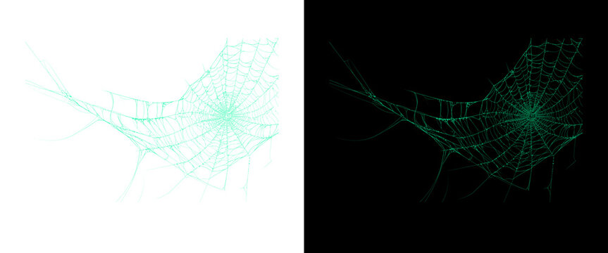 Glowing green spiderweb on black and white backgrounds, spooky halloween cobweb design elements, creepy spider web graphic