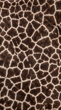 Seamless giraffe hide texture pattern showing brown and cream animal skin details
