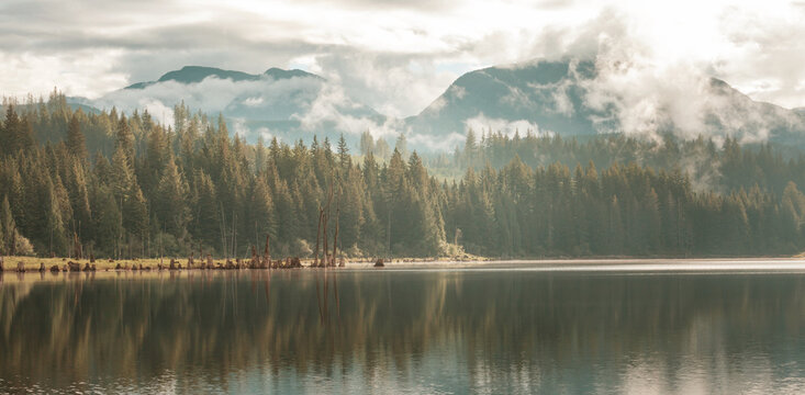 Fog on the lake