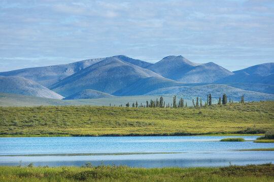 Lake in tundra