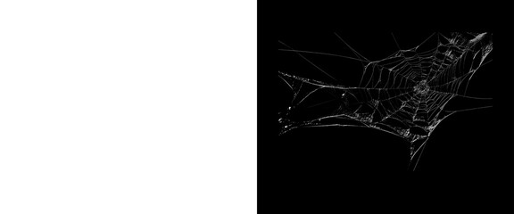 Intricate spider web on black background, delicate cobweb with water droplets, spooky Halloween design element © MuftiMoklesur