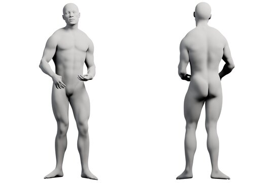 3D male body reference figure standing front-back collage