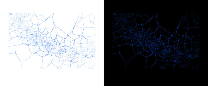 Abstract voronoi network pattern, blue neural connection grid on white and black background, digital data structure