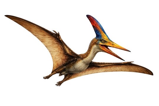 Colorful pterodactyl flying with open beak on isolated white background