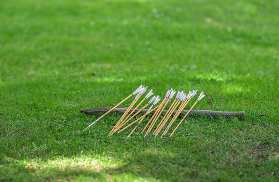 Bundle of wooden arrows lying on shaded green grass.