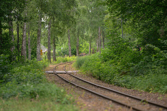 Curving railway tracks leading through dense green summer forest.