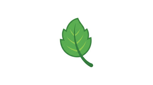 Green mint leaf illustration, fresh herbal foliage icon, organic peppermint leaf on white background, botanical nature symbol