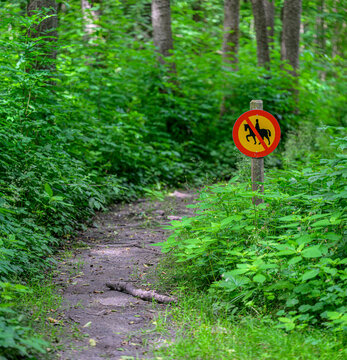 No horse riding sign beside narrow forest trail.