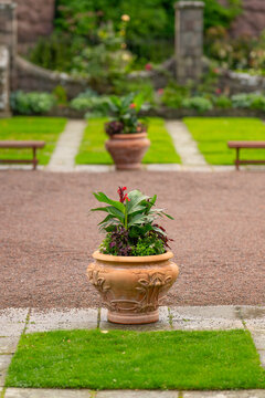 decorative outdoor planter with vibrant green foliage.