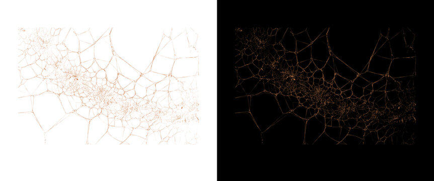 Abstract voronoi diagram texture, geometric network pattern on black and white backgrounds, digital tech design element