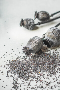 Poppy seeds