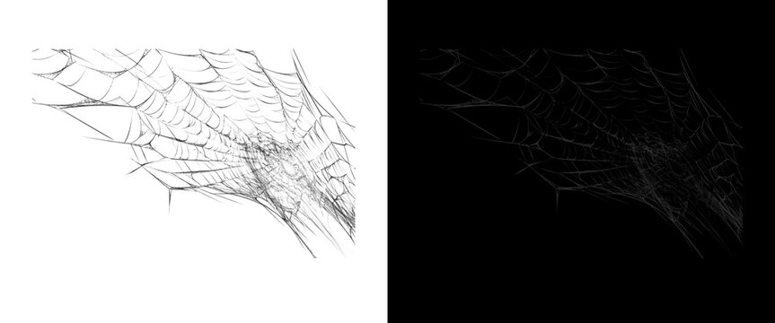 Spooky spider web corner elements, creepy cobweb textures on black and white backgrounds, Halloween design assets