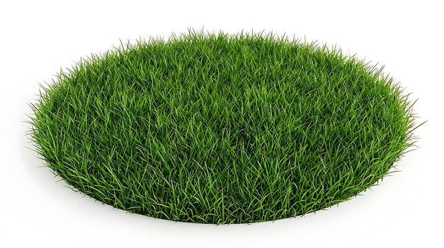 Green Grass Circular Patch 3D Render Isolated on White Background for Landscape Design and Garden Website Graphic