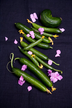 Fresh snake cucumbers