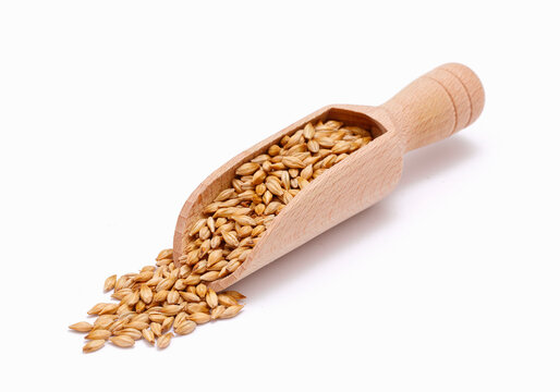 Grain malt