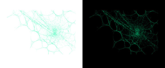 Naklejka premium Abstract green neural network structure, digital brain cell connection on white and black backgrounds, scientific data visualization