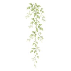 Fototapeta premium Delicate watercolor illustration of green leafy vines on a white background.