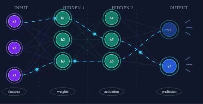 Artificial neural network animation illustrating features weights activation and prediction stages from input to output nodes