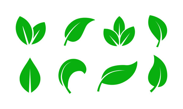 Green Leaf Icons Collection leaves nature set