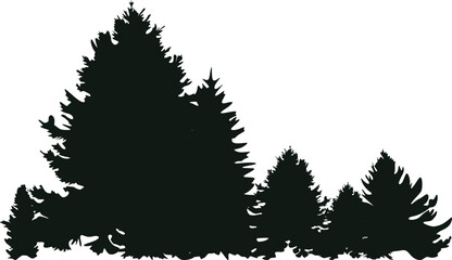 Obraz premium Pine Tree Forest Silhouette