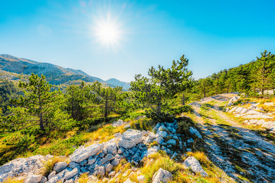 Rugged karst landscape of Biokovo Nature Park with white limestone rocks and sparse mediterranean vegetation, Dalmatia, Croatia.