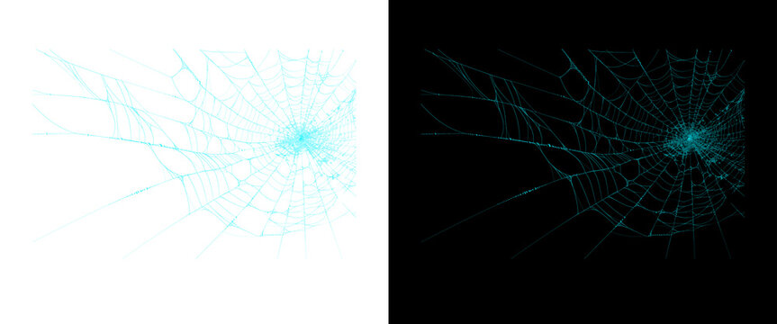 Glowing blue spiderweb graphic set, neon cobweb design elements on black and white backgrounds, spooky halloween digital assets