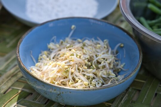 Fresh raw bean sprouts served in a blue ceramic bowl, prepared as fresh ingredients during an authentic traditional culinary cooking class in Bali, Indonesia.