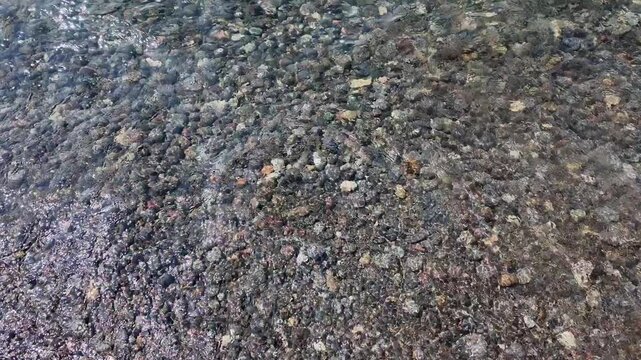 High-angle shot of clean, fresh water ripples over colorful pebble beach in Yellowstone National Park.
