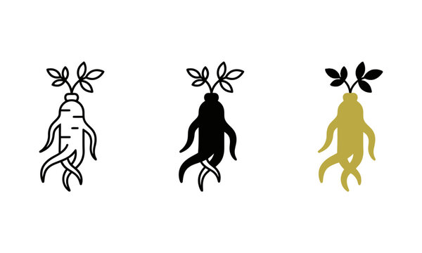 Ginseng root botanical illustration set in minimalist style with botanical medicine wellness