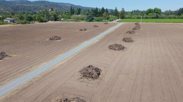 Aerial view of vineyards in Sonoma and Napa California remove grape vines for burning due to declining sales in the wine industry.
