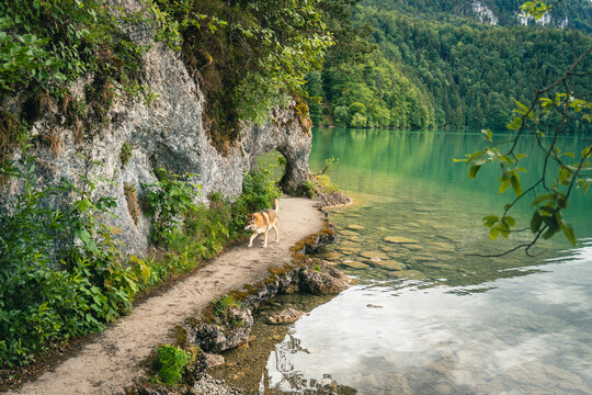 Idyllic Weissensee landscape in F&uuml;ssen, Allg&auml;u, Bavaria