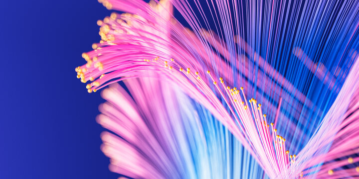 Quantum Fiber Pattern 3D