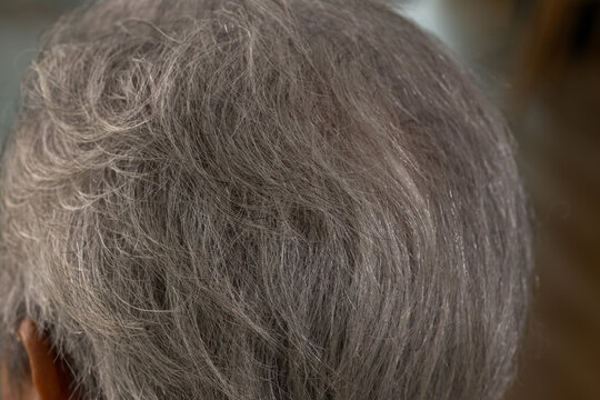 Close-up of gray hair roots on a person's scalp. Detailed view of silver and white strands growing from the head, illustrating aging, genetics, hair care, and coloring treatment needs