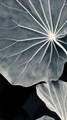 Fototapeta premium Elegant leaf pattern in monochrome, perfect for a stylish mobile wallpaper.