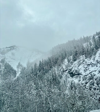 A serene snowy mountain landscape with trees covered in frost