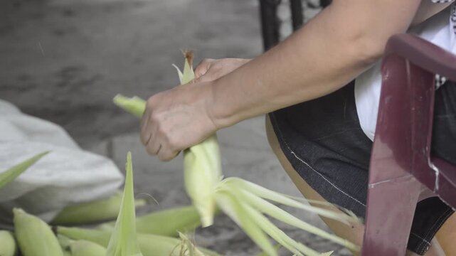 Woman Peeling Fresh Corn