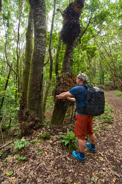 Photographing madre del loro fungus, Tenerife