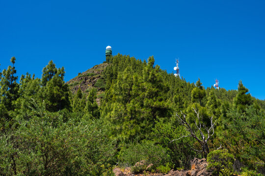 Radar dome above pine forest, Tenerife
