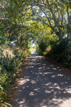 Country Lane St Davids