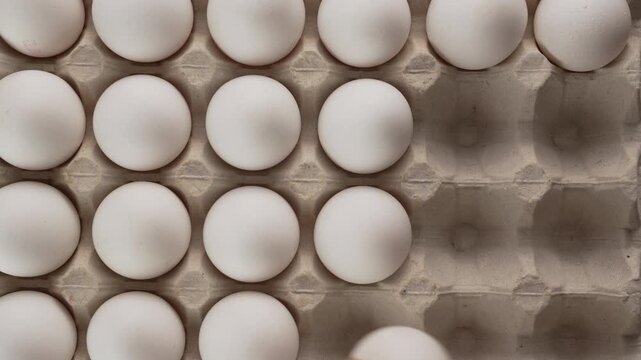 Hand lifts an egg from a carton, removal of eggs from textured surface. Vertical video
