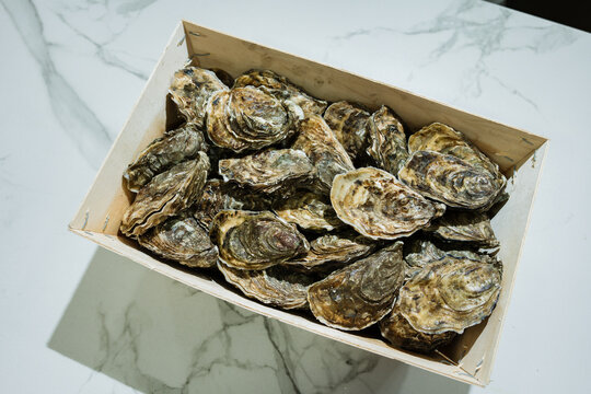 Fresh raw oysters filling wooden crate on marble